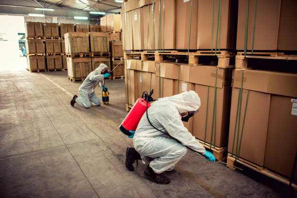 Best Best Pest Control Companies  in Morgan Hill, CA