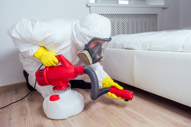 Best Affordable Pest Control Services  in Morgan Hill, CA