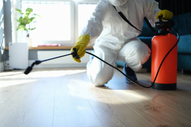 Best Pest Control Near Me in Morgan Hill, CA