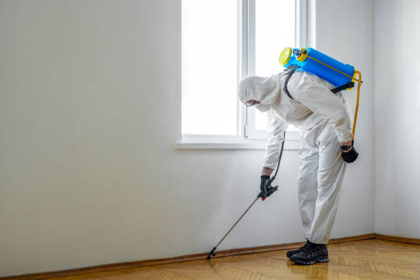 Professional Pest Control in Morgan Hill, CA