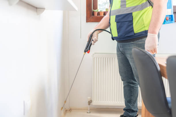 Best Best Pest Control Companies  in Morgan Hill, CA