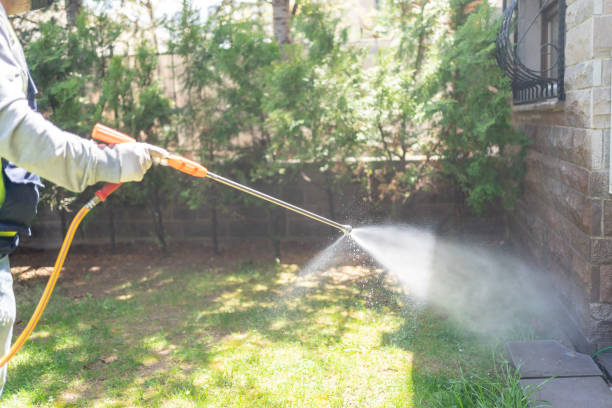 Best Local Pest Control Services  in Morgan Hill, CA