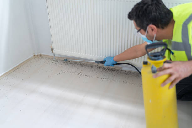 Best Mosquito Control Services  in Morgan Hill, CA